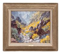 Wild Canyon