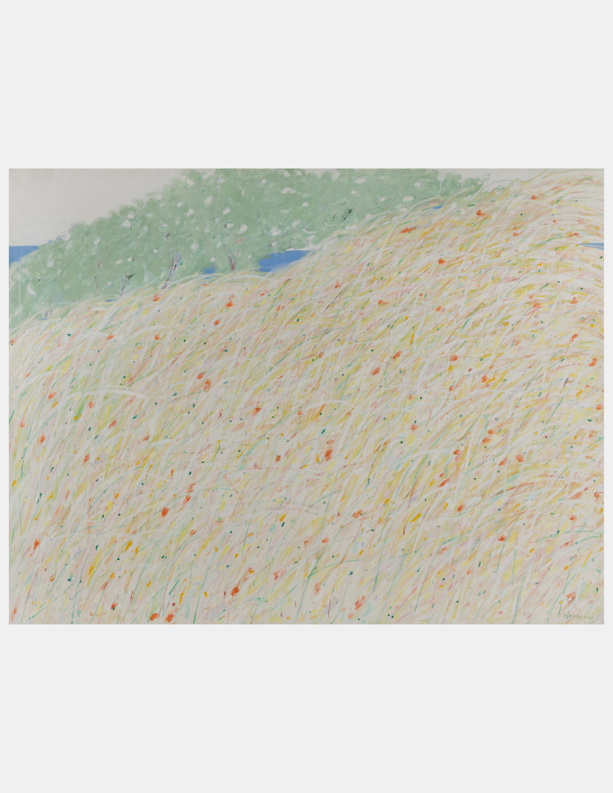 Beach Grasses, 1972