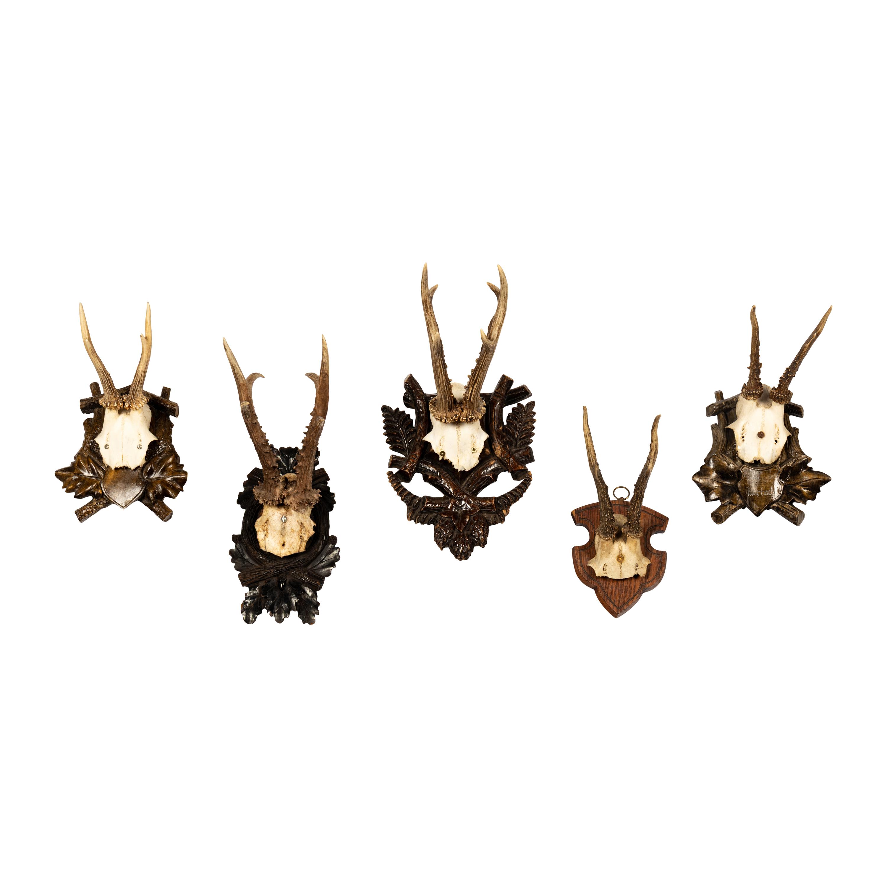A Group of Five Taxidermy Antler Mounts