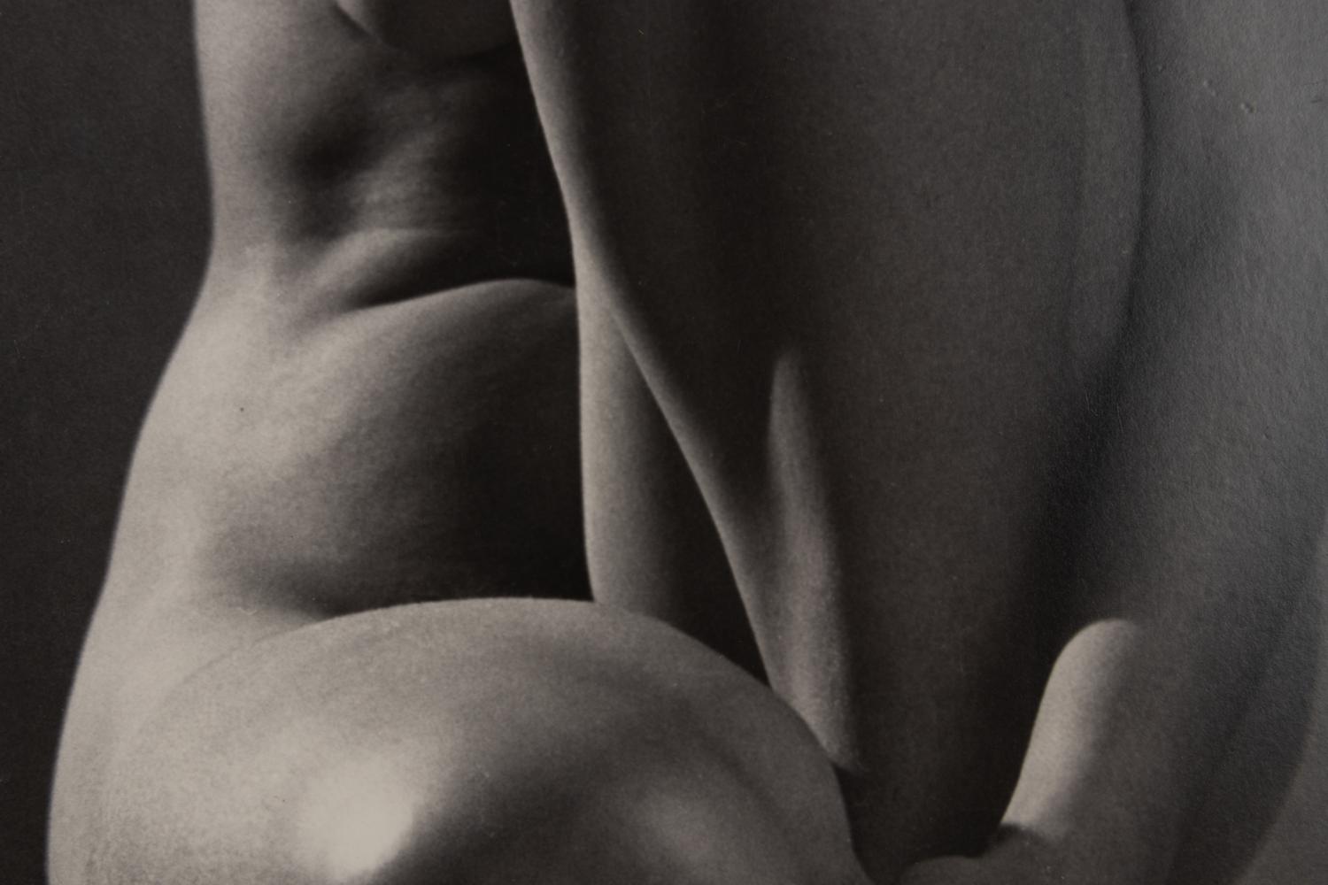 Classic Torso