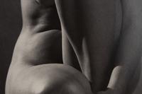 Classic Torso