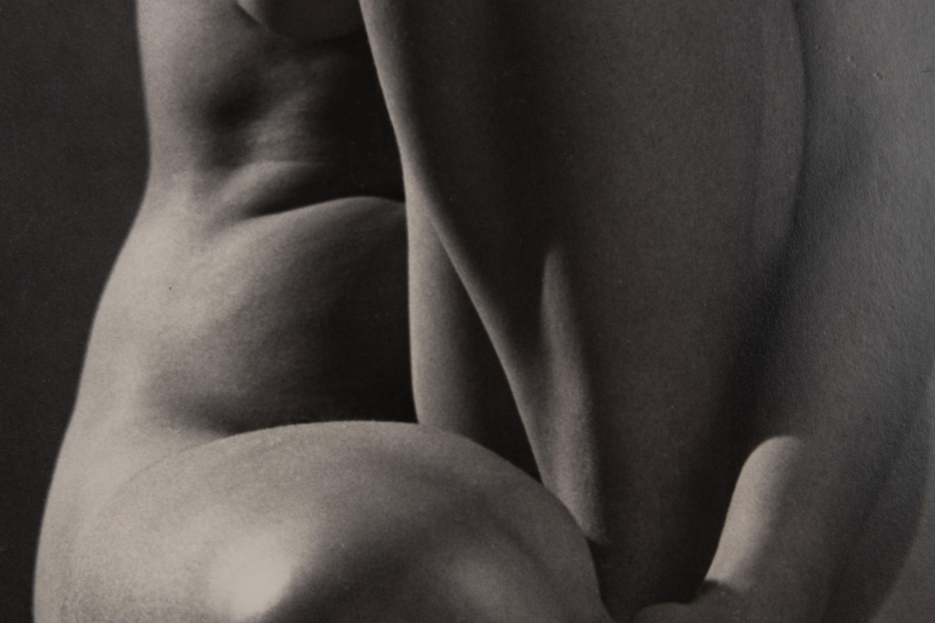 Classic Torso
