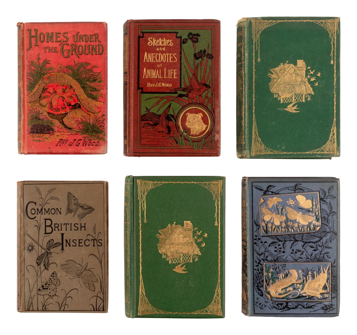[NATURAL HISTORY]. WOOD, John George (1827-1889). A large group of works, including: