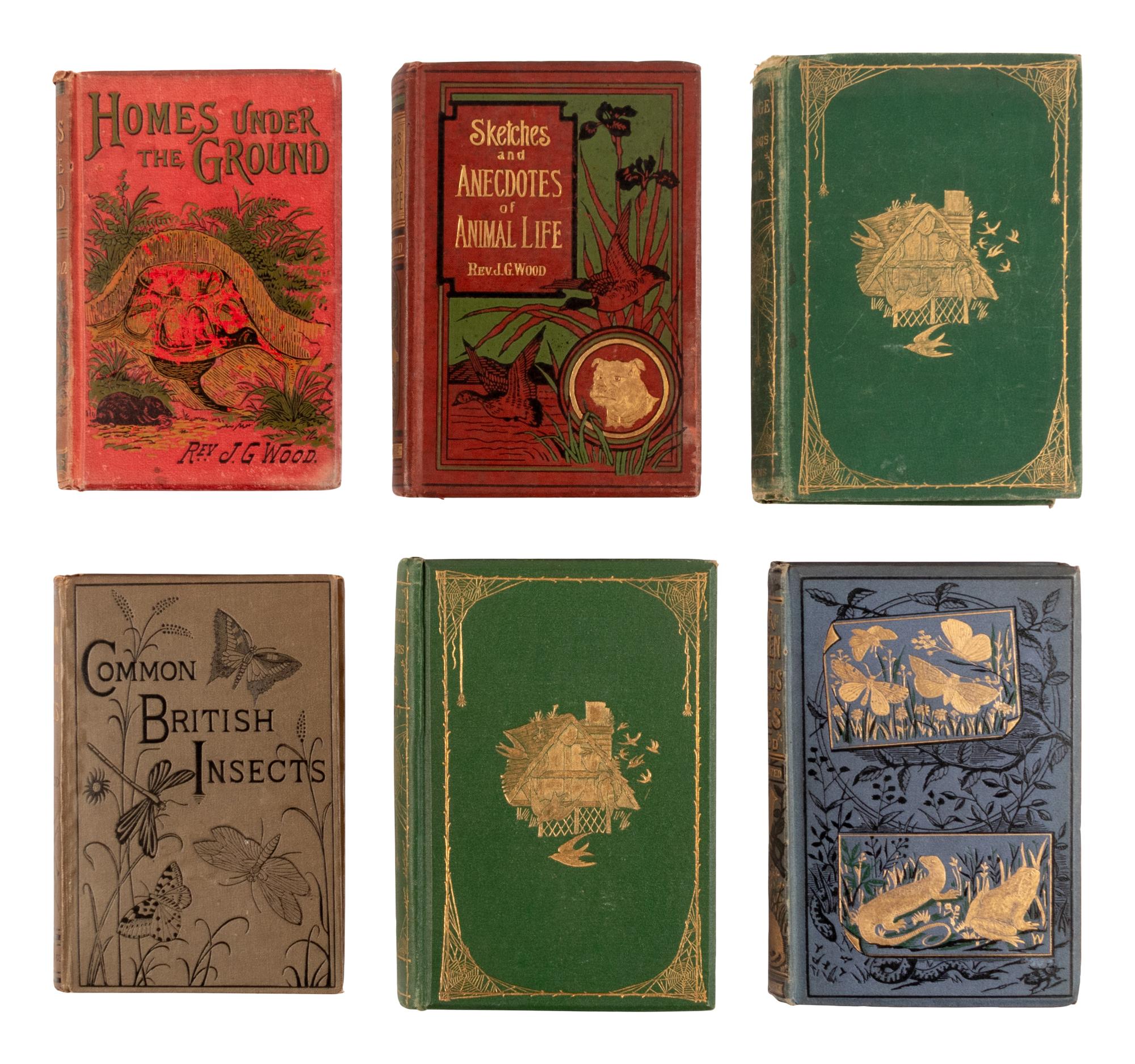 [NATURAL HISTORY]. WOOD, John George (1827-1889). A large group of works, including: