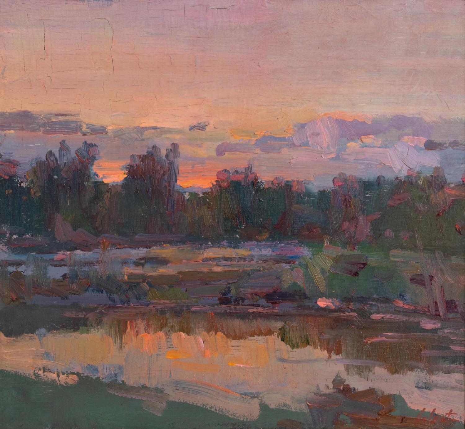 Marsh Sunset