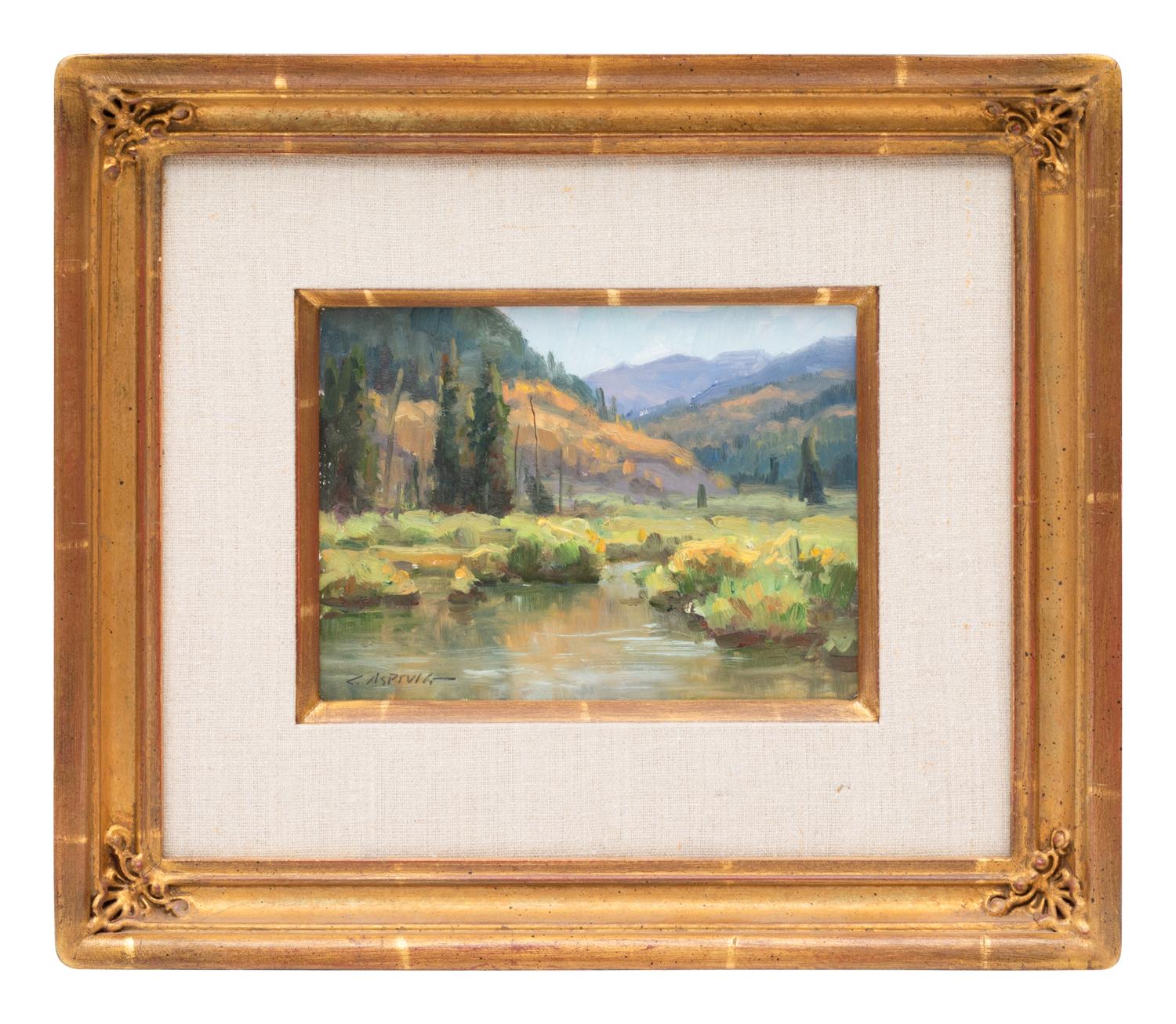 Mountain Stream
