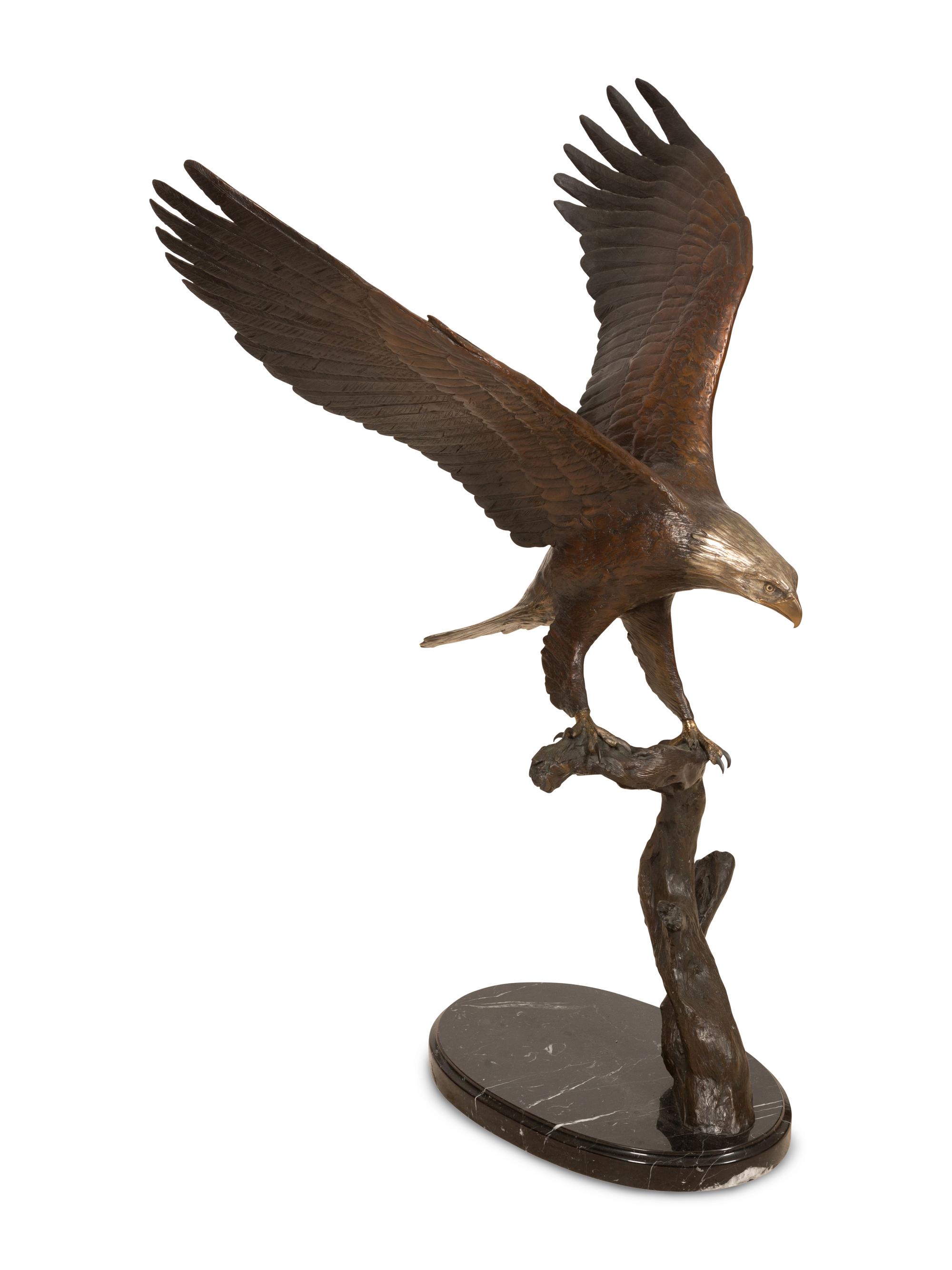 Bald Eagle , edition 16/25