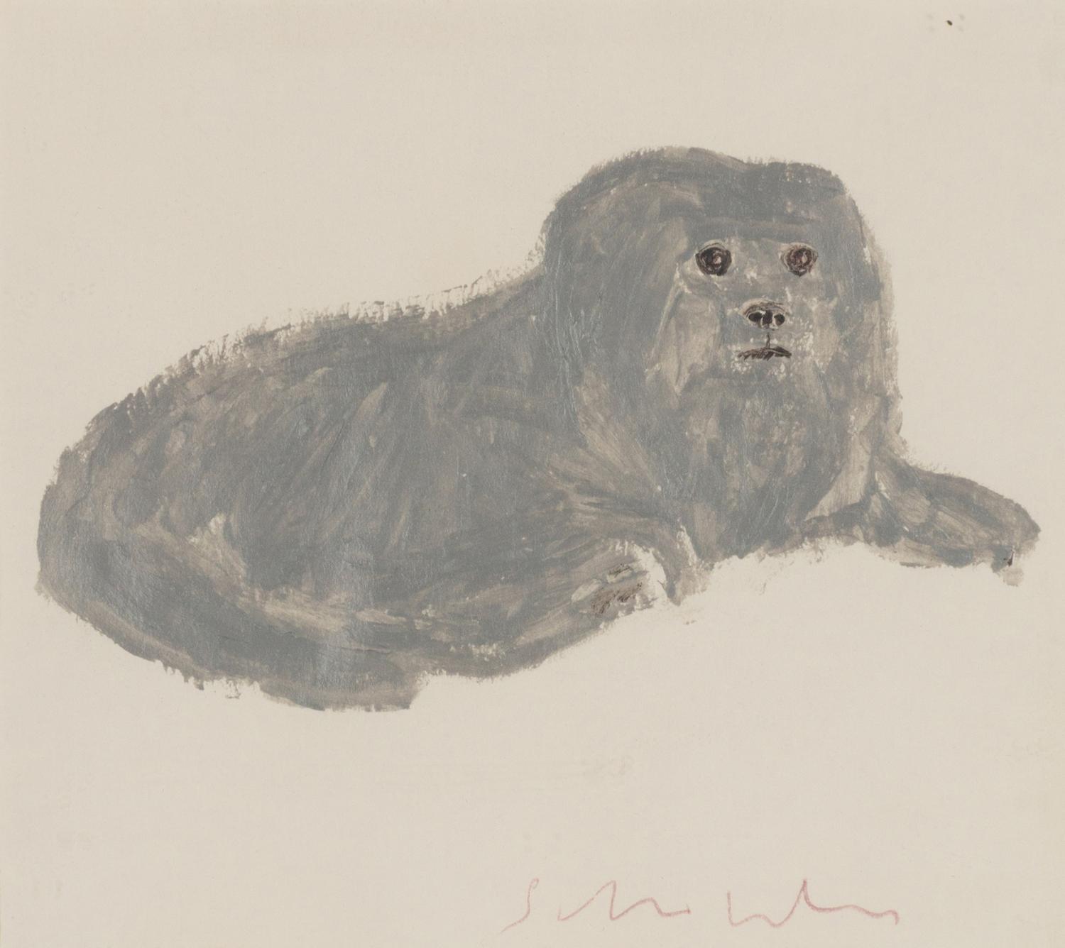 Portrait of Impy