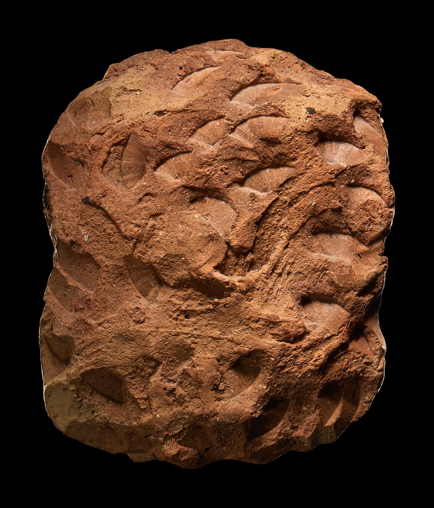 A Phoenician Faience Head