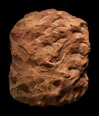A Phoenician Faience Head