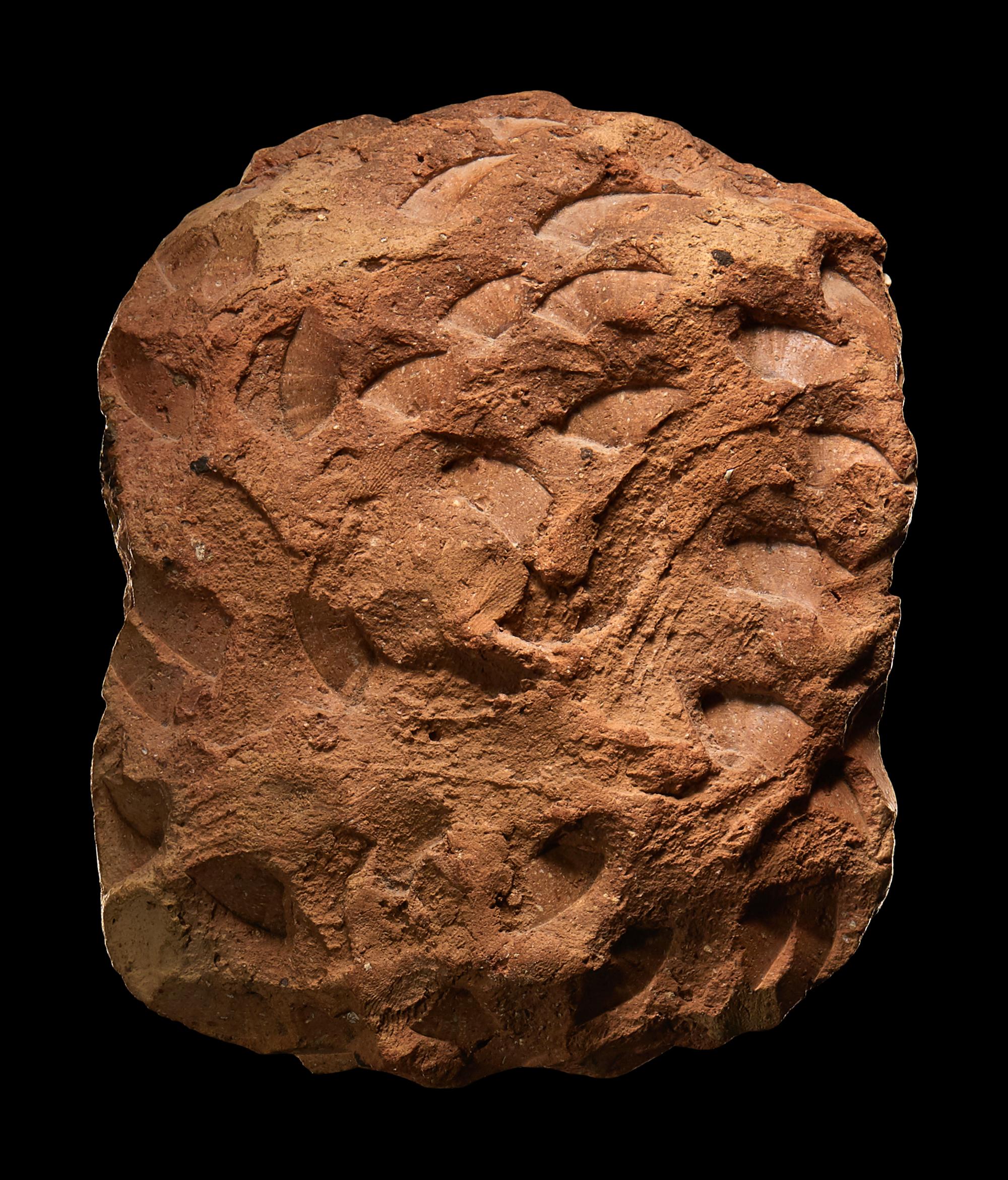 A Phoenician Faience Head