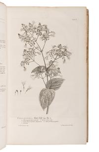 [NATURAL HISTORY]. LINNAEUS, Carolus (1707-1778). Hortus cliffortianus . Amsterdam, 1737 [i.e. 1738].