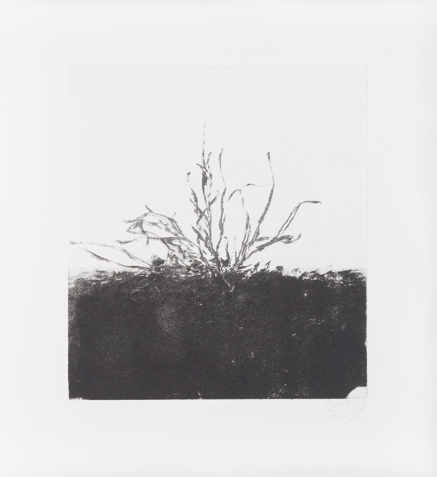 Avigdor Arikha, (Israeli, 1929-2010), Au Loin Un Oiseau, 1973 (five works)