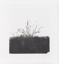 Avigdor Arikha, (Israeli, 1929-2010), Au Loin Un Oiseau, 1973 (five works)