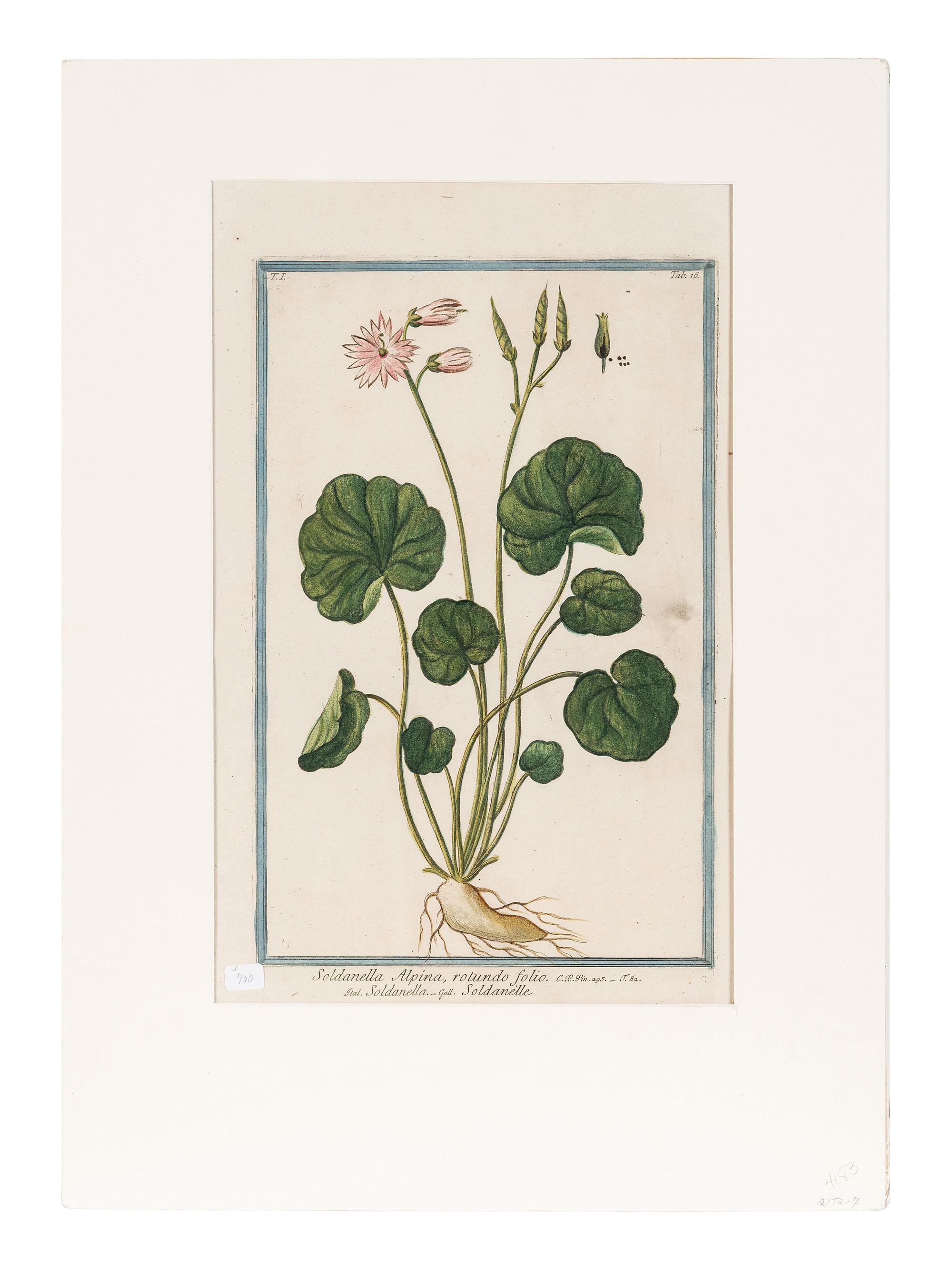 Giorgio Bonelli (Italian, 1724-1782)