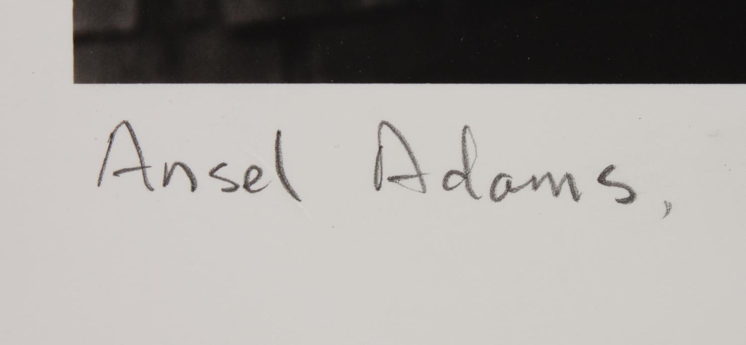 Portrait of Ansel Adams