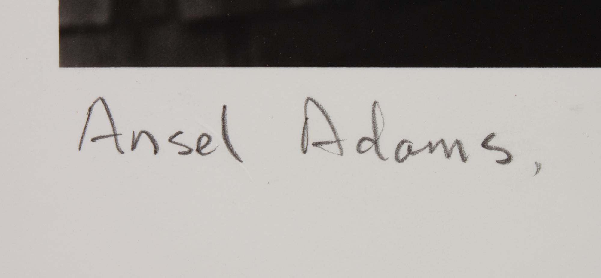 Portrait of Ansel Adams