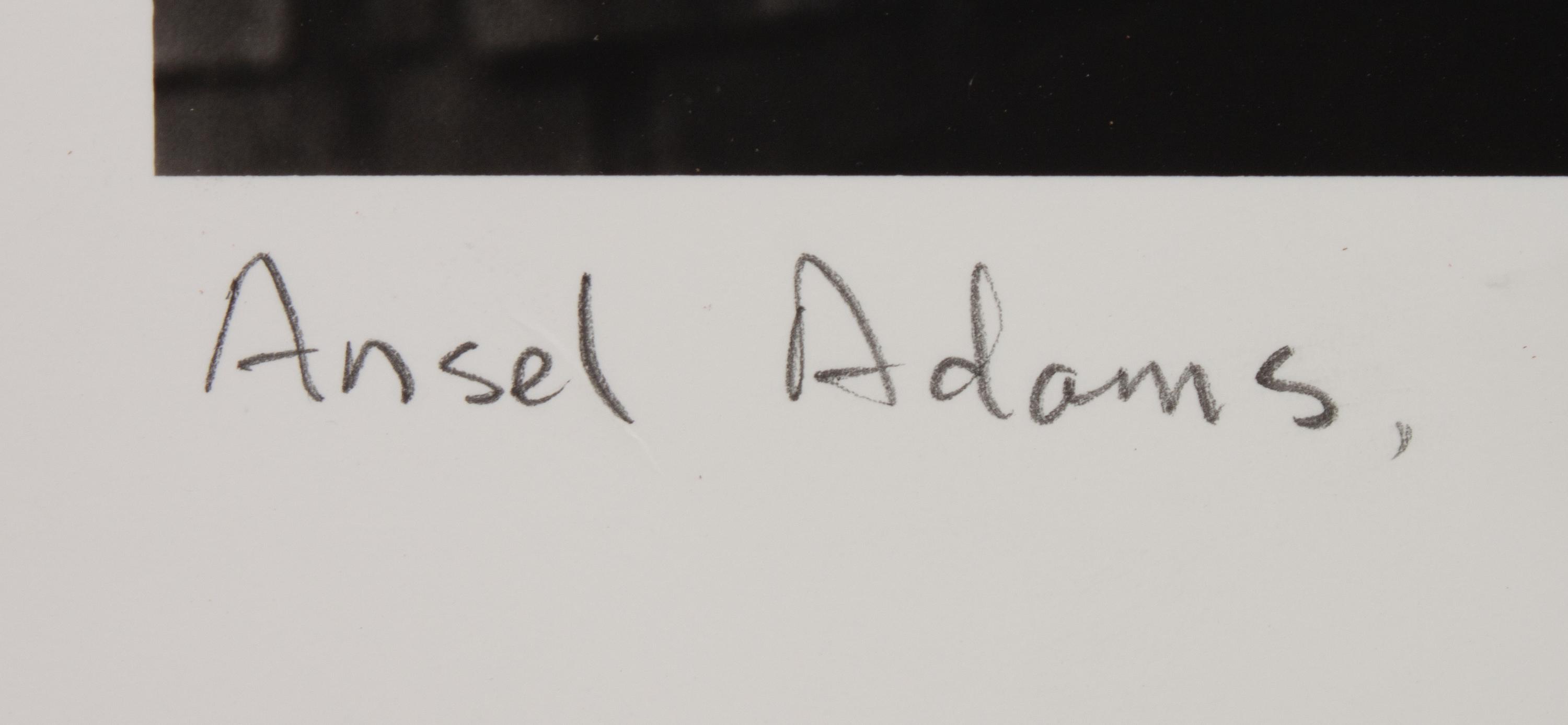 Portrait of Ansel Adams