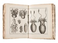 BRUGUIÈRE, Jean Guillaume (1749-1798). Tableau encyclopédique et méthodique des trois règnes de la nature. Contenant l'helminthologie, ou les vers infusoires, les vers intestins, les vers mollusques, &c . Paris: Panckoucke, 1791.