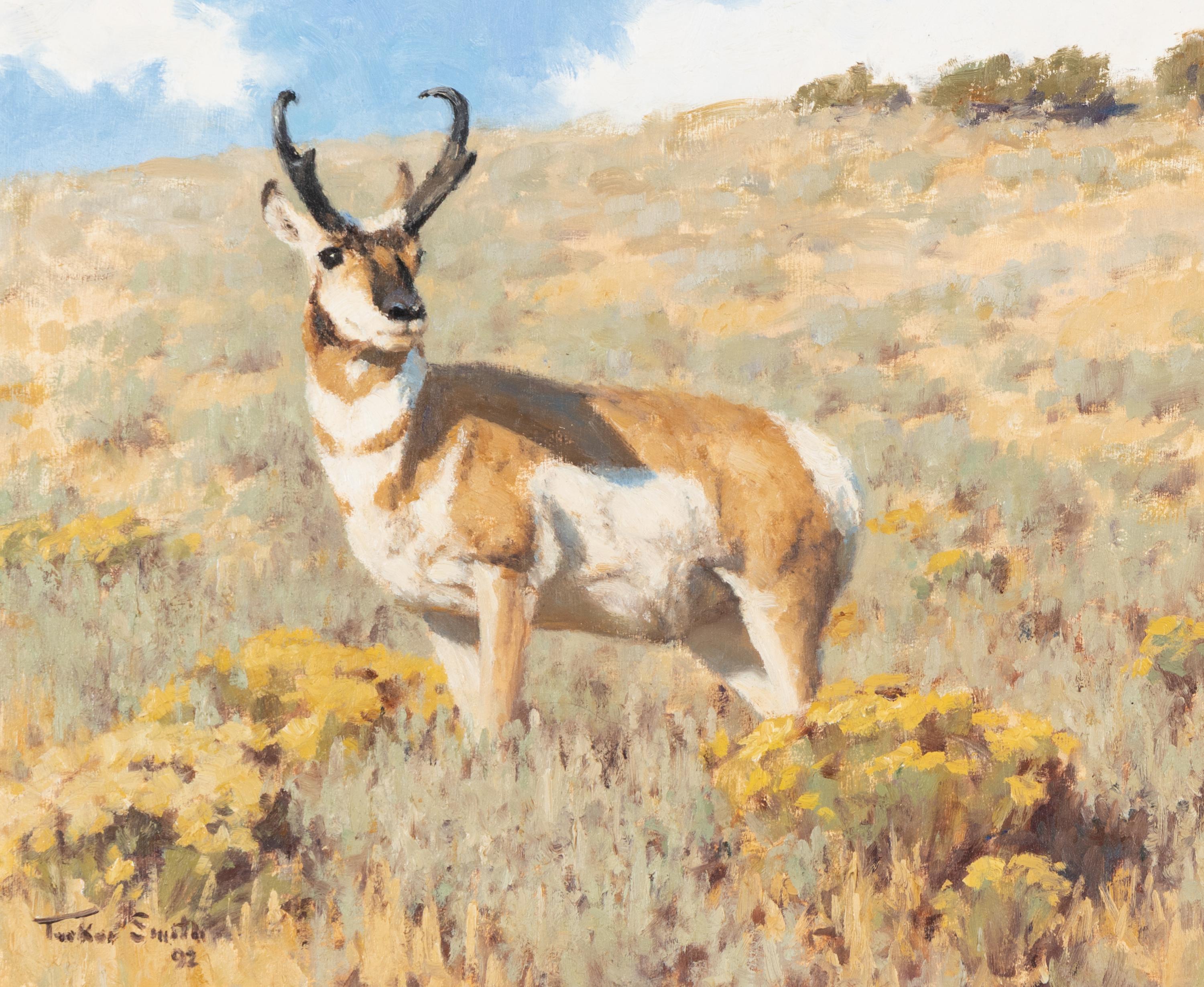 Tucker Smith (American, b. 1940) — Pronghorn on Alert , 1992