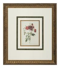 A Set of Six Chromolithographs of Roses after Pierre Joseph Redouté