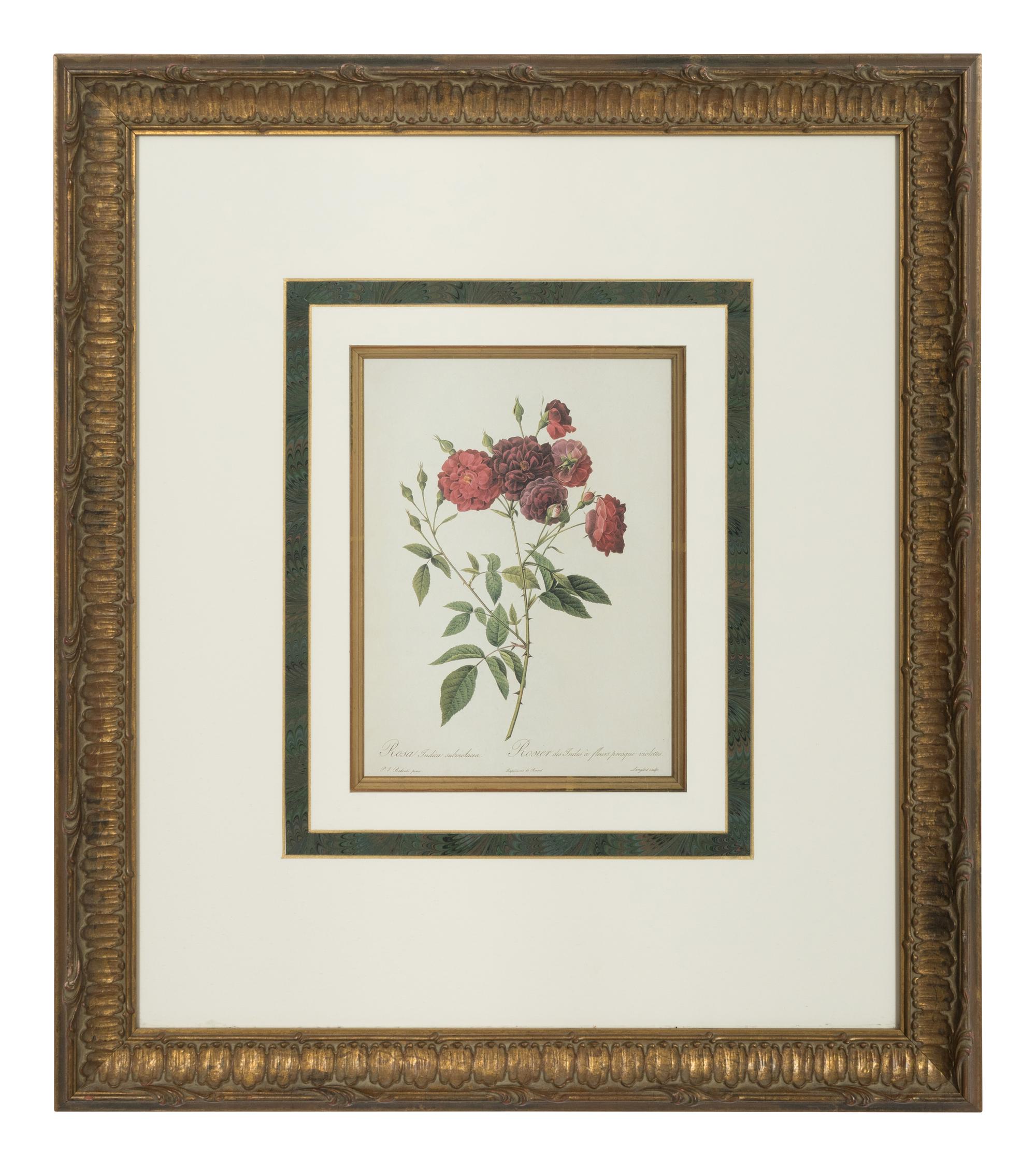 A Set of Six Chromolithographs of Roses after Pierre Joseph Redouté