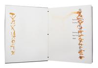 (GRANARY BOOKS) MCKENNA, TERRENCE AND TIMOTHY ELY. Synesthesia. NY, 1992. Limited, signed.