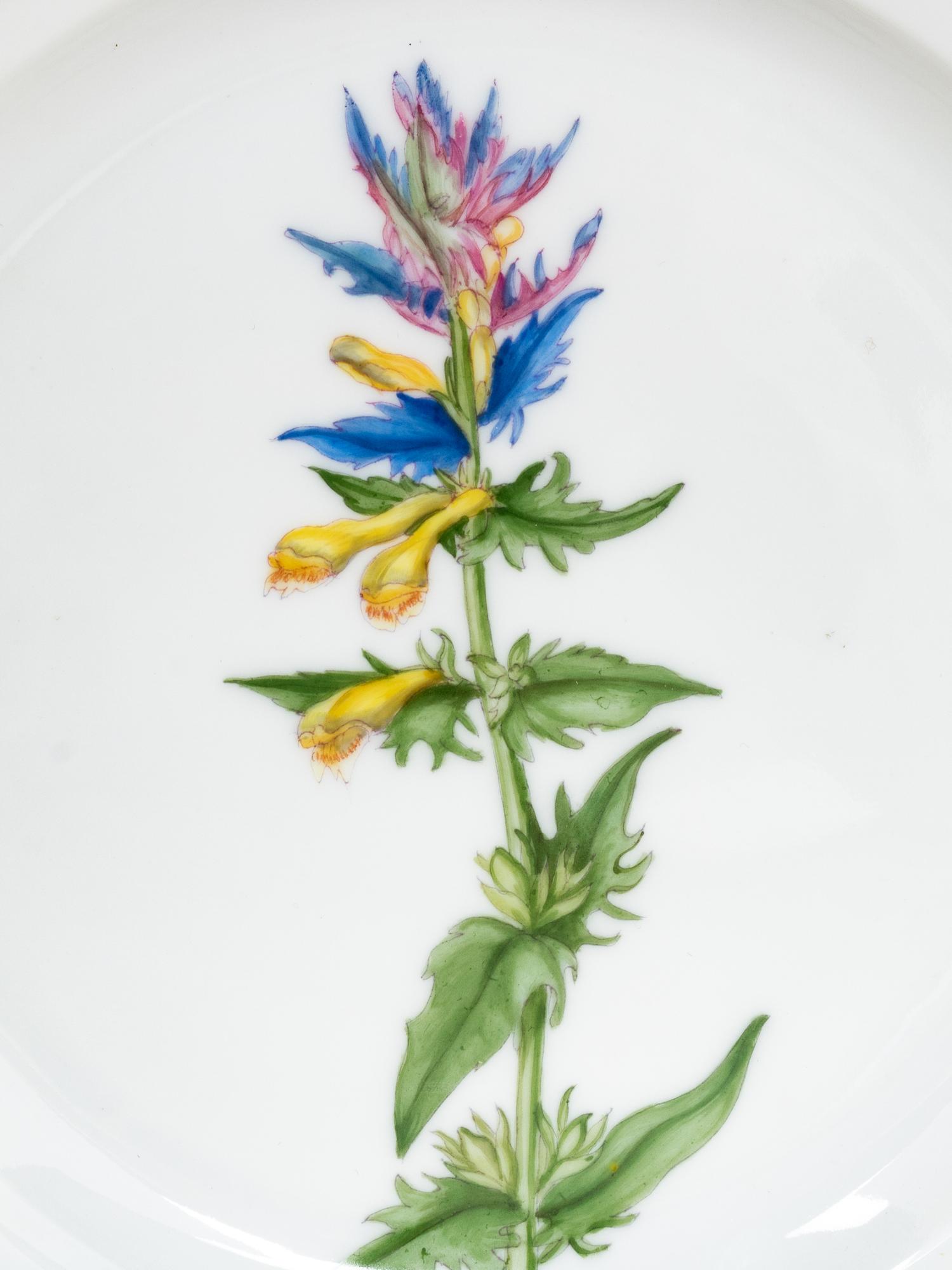 A Set of Thirteen Royal Copenhagen Flora Danica Salad Plates