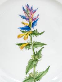 A Set of Thirteen Royal Copenhagen Flora Danica Salad Plates