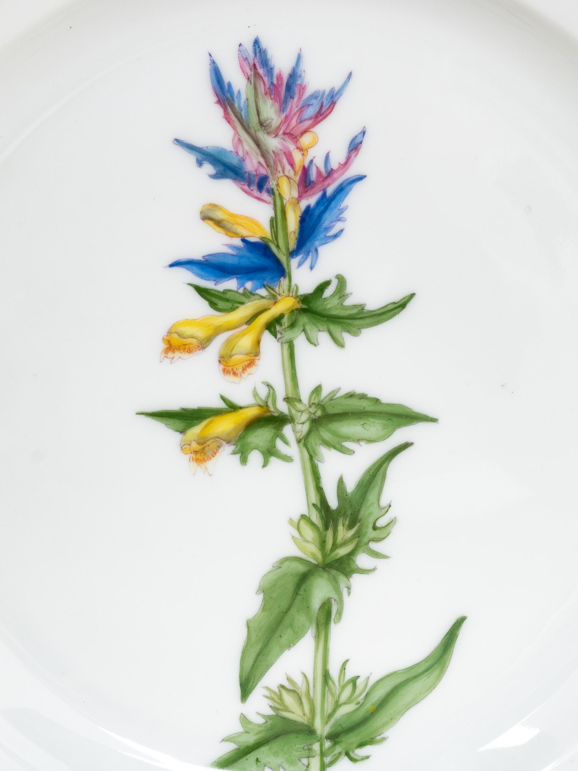A Set of Thirteen Royal Copenhagen Flora Danica Salad Plates