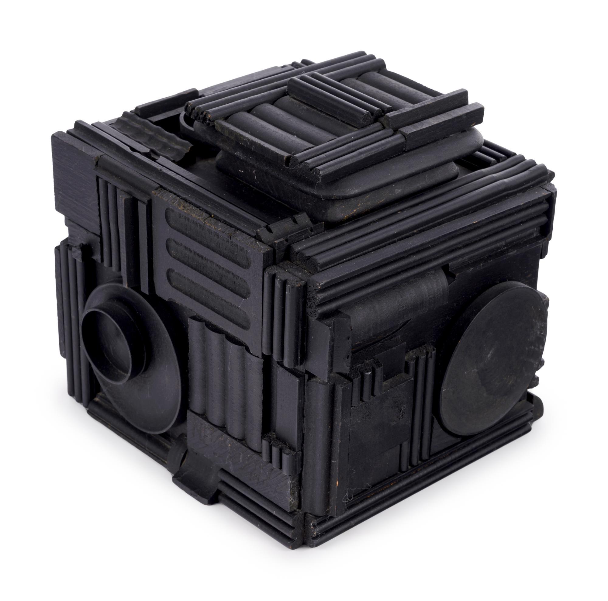 Cryptic XXXIX (Camera)