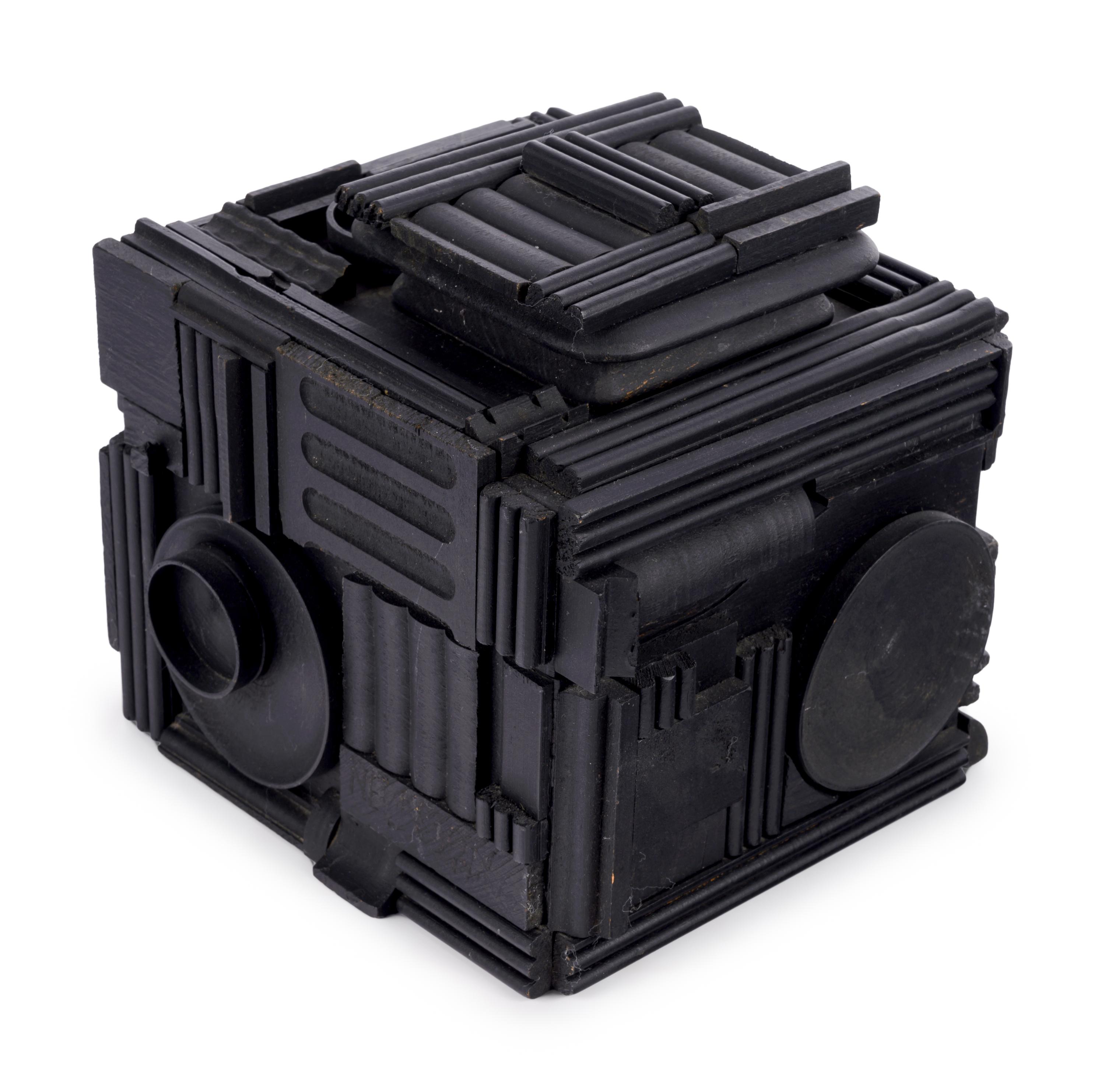 Cryptic XXXIX (Camera)