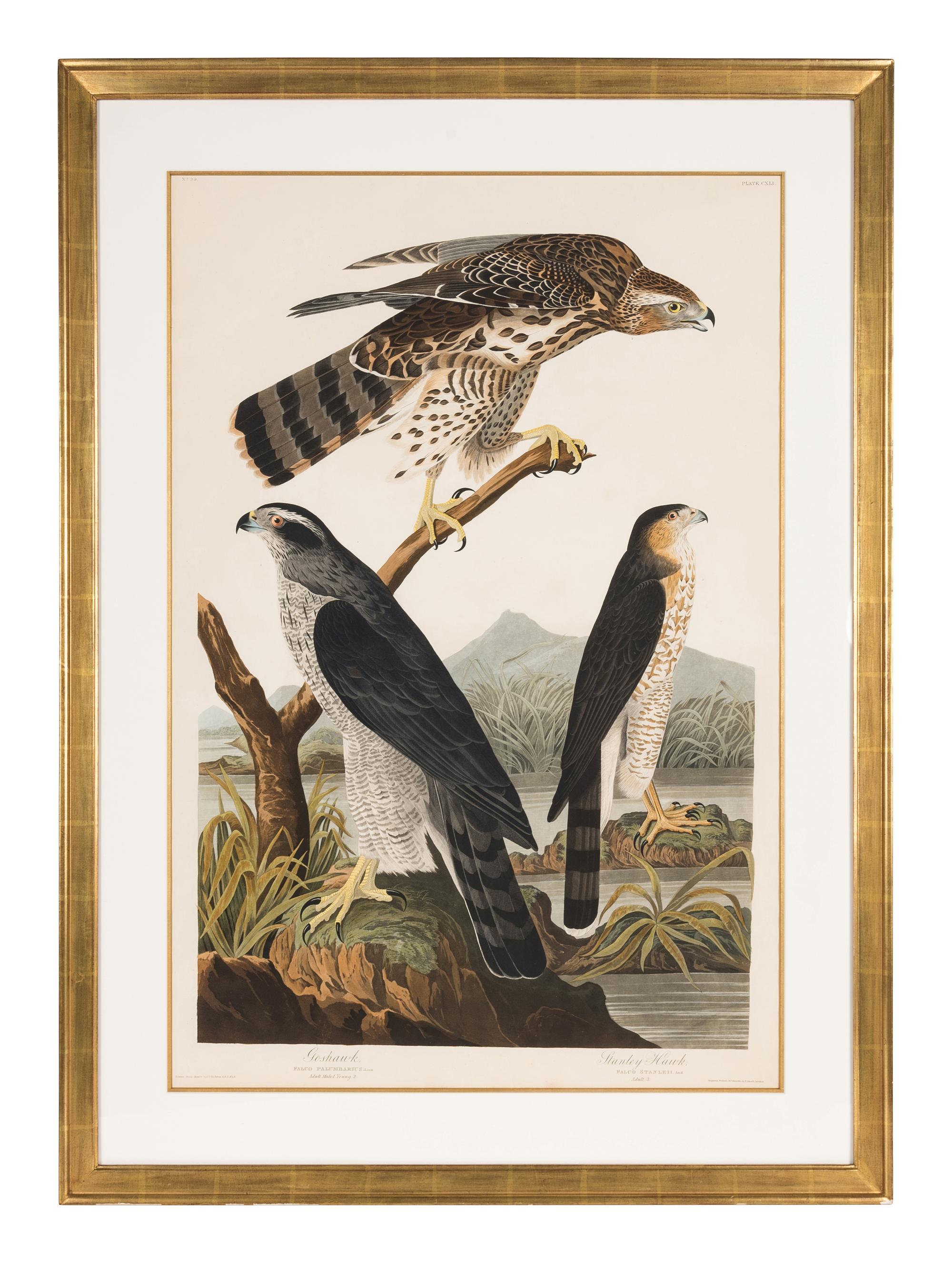 AUDUBON, John James (1785-1851)