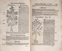 [Natural History] Bock, Hieronymus. Kreüter Buch...