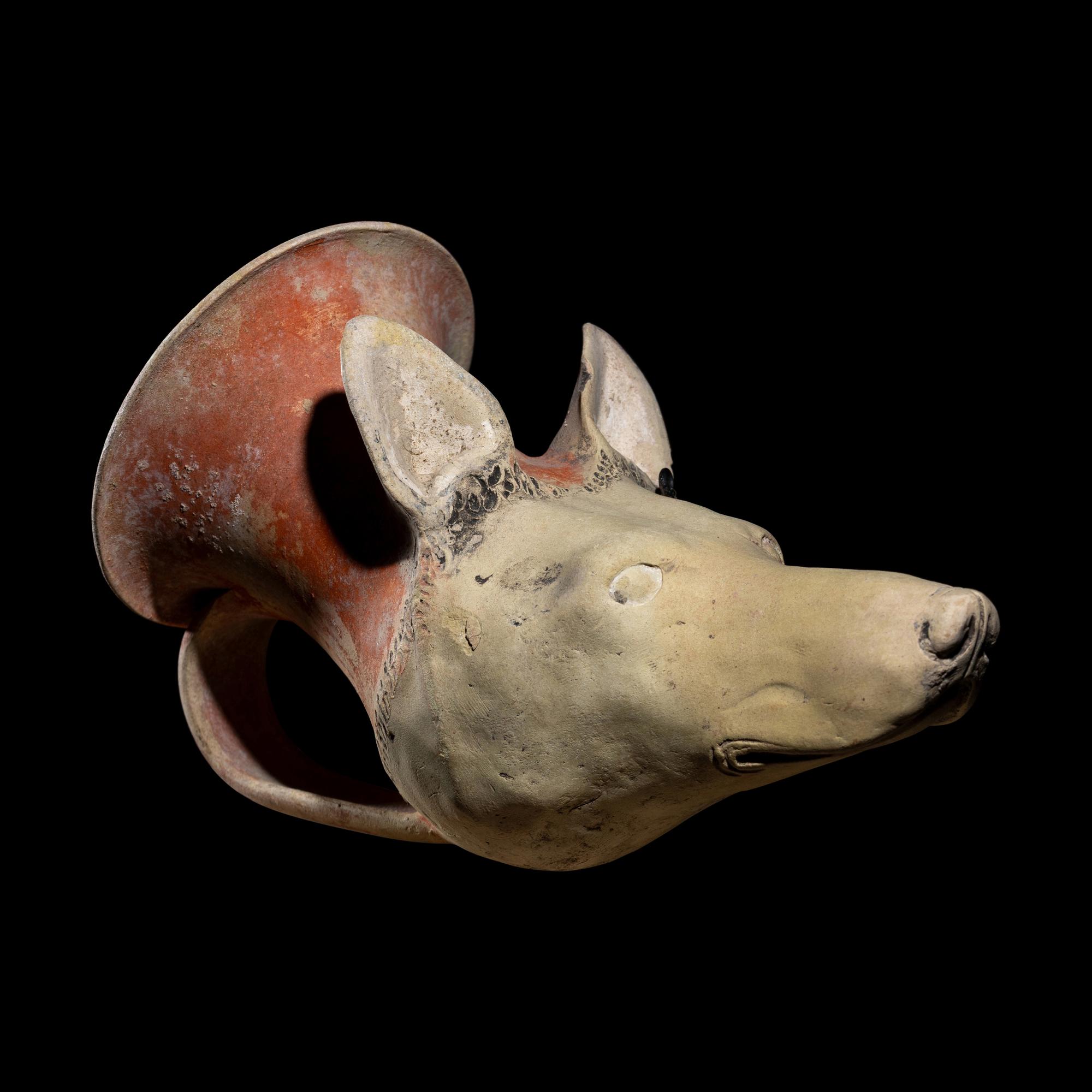 A Tarentine Terracotta Rhyton in the Form of a Dog's Head