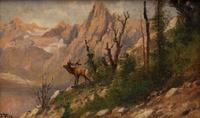 Deer in Landscape