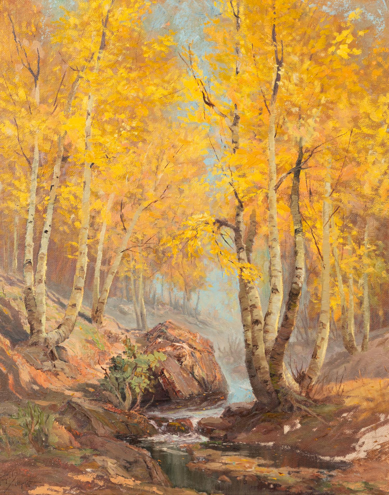Aspens in the Fall