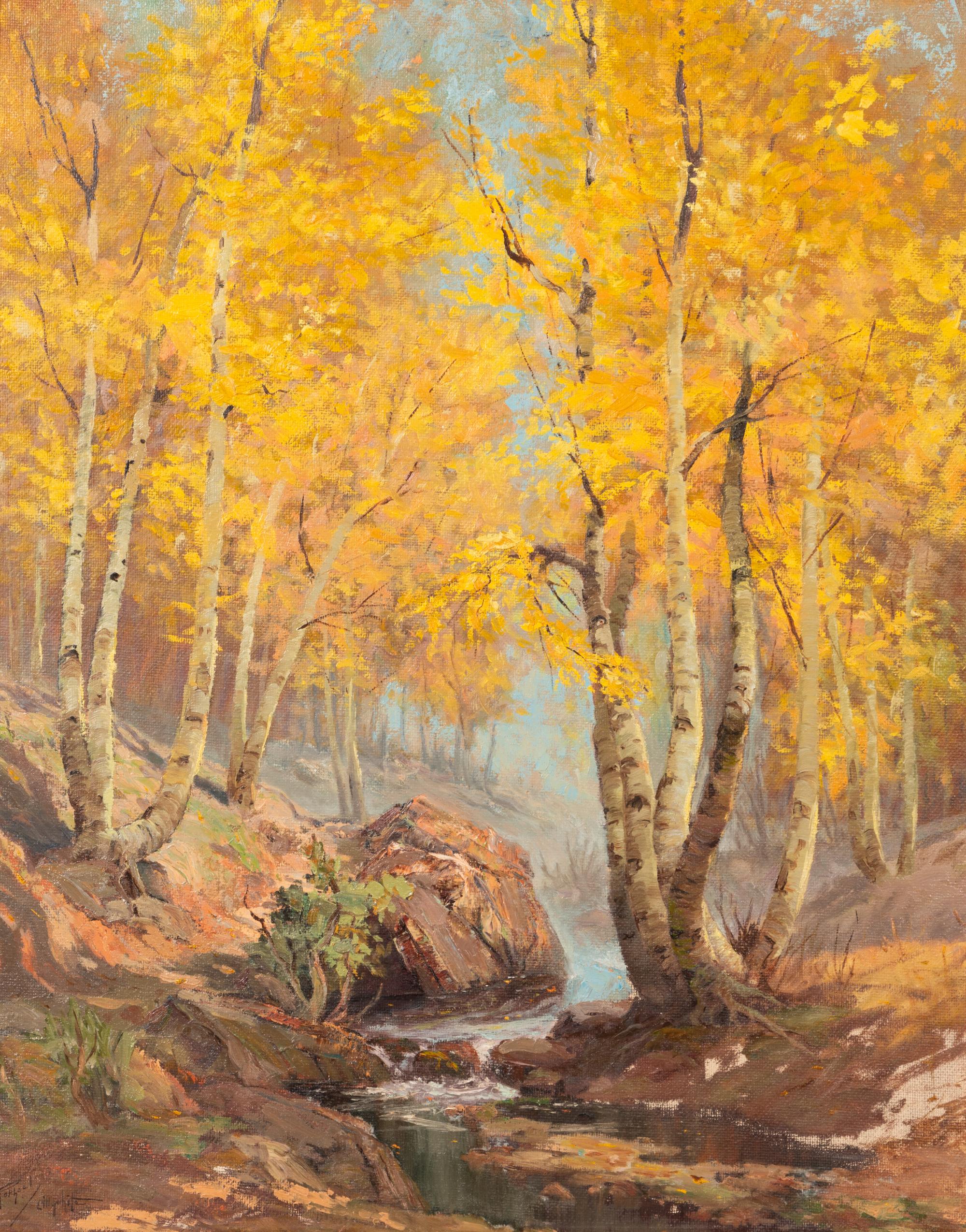 Aspens in the Fall