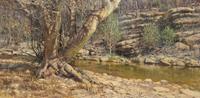 William Atkins, (American, 1926–1995), Wooded Creek, 1979