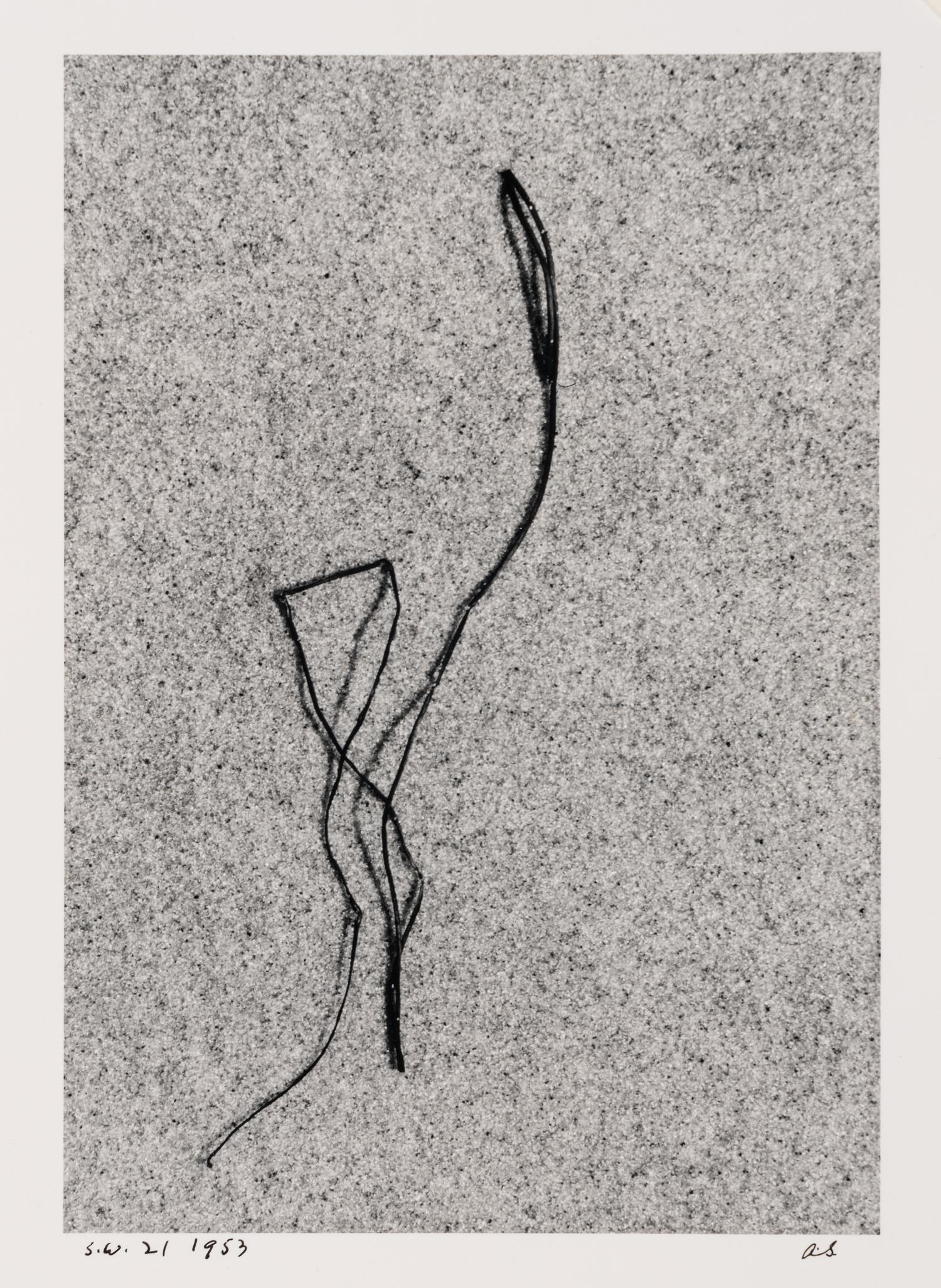Martha's Vineyard (Sea Weed) 21 , 1953