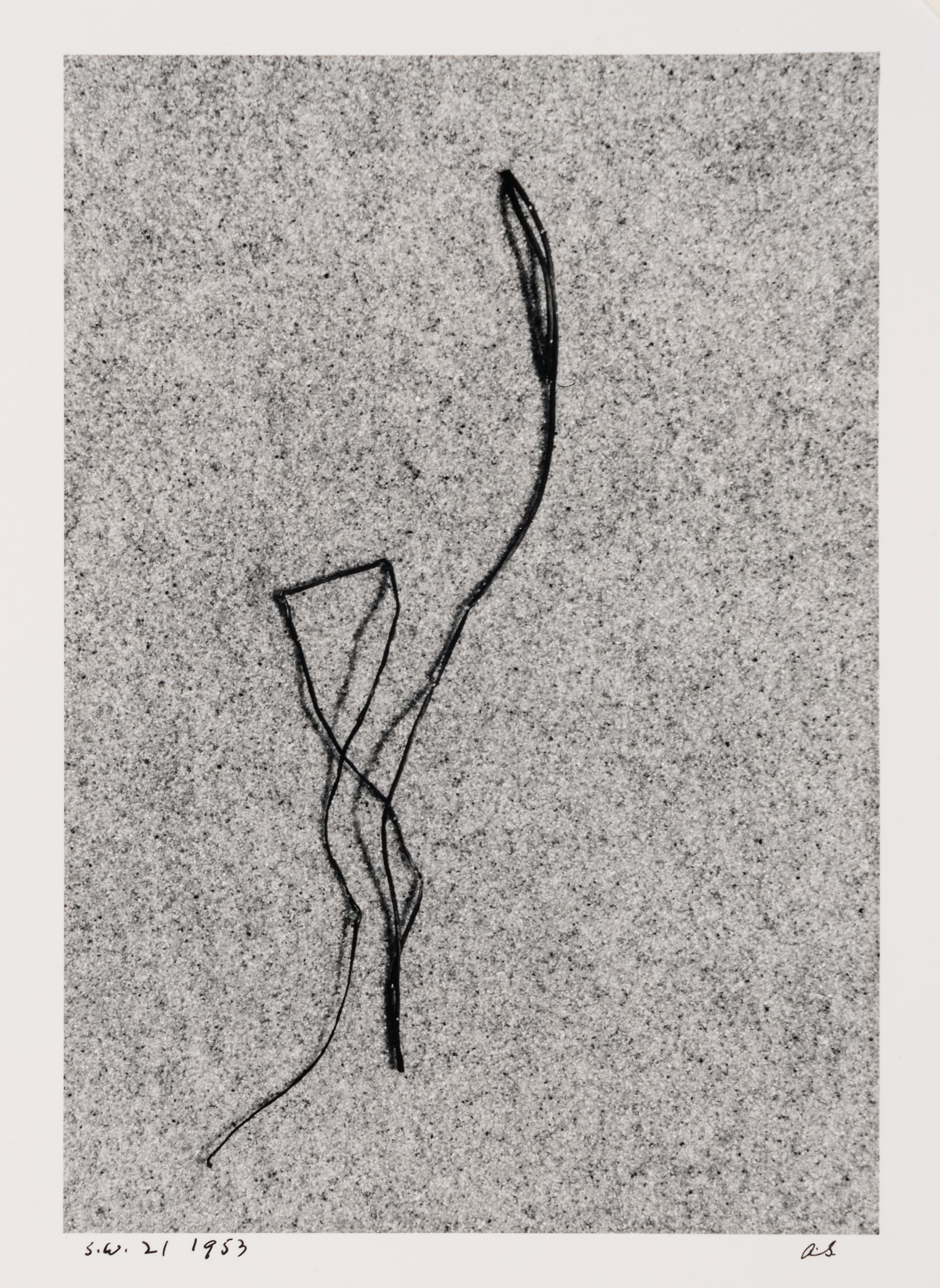 Martha's Vineyard (Sea Weed) 21 , 1953