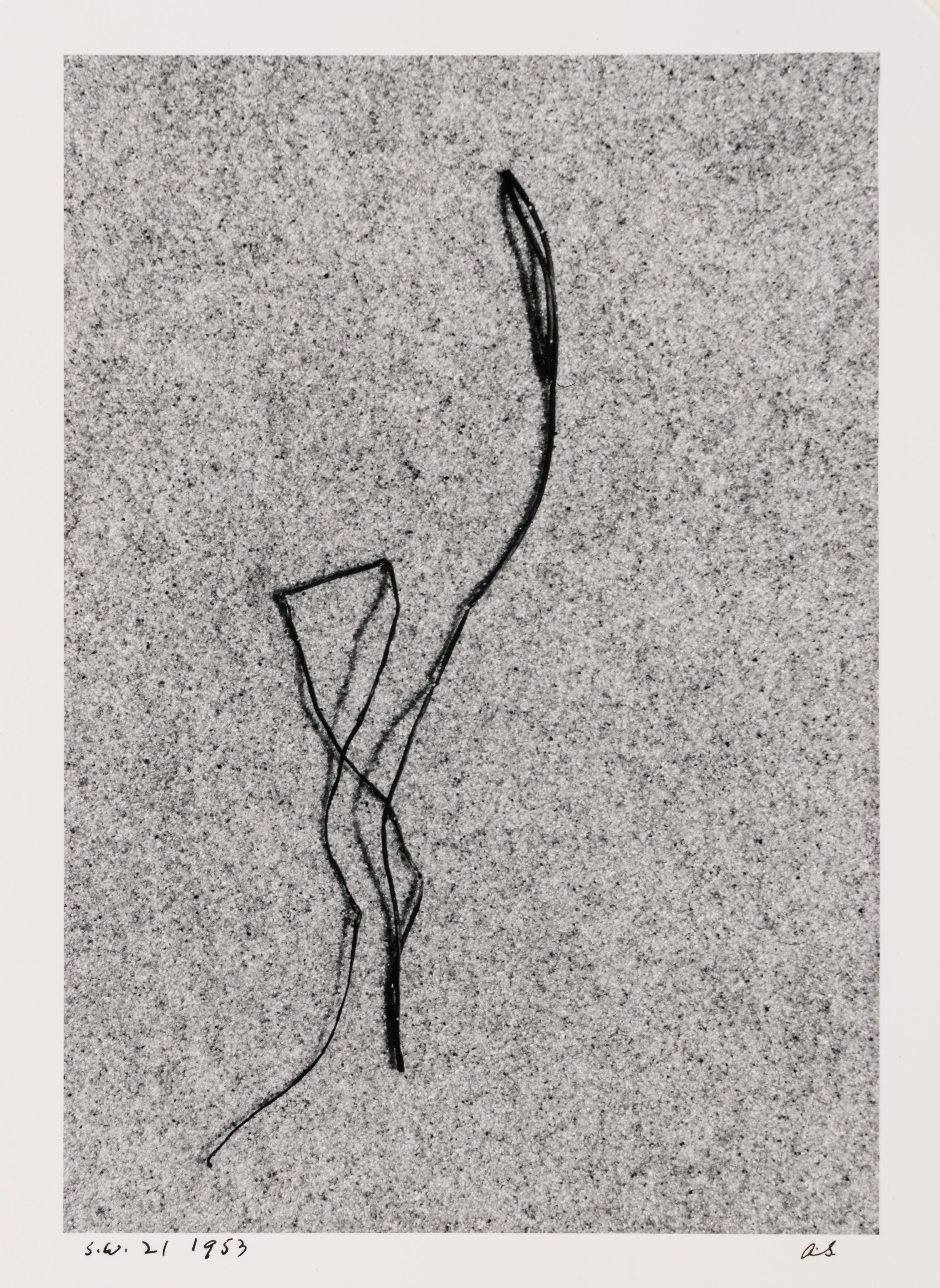 Martha's Vineyard (Sea Weed) 21 , 1953