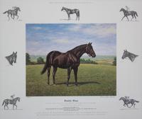 Nineteen Equestrian Prints