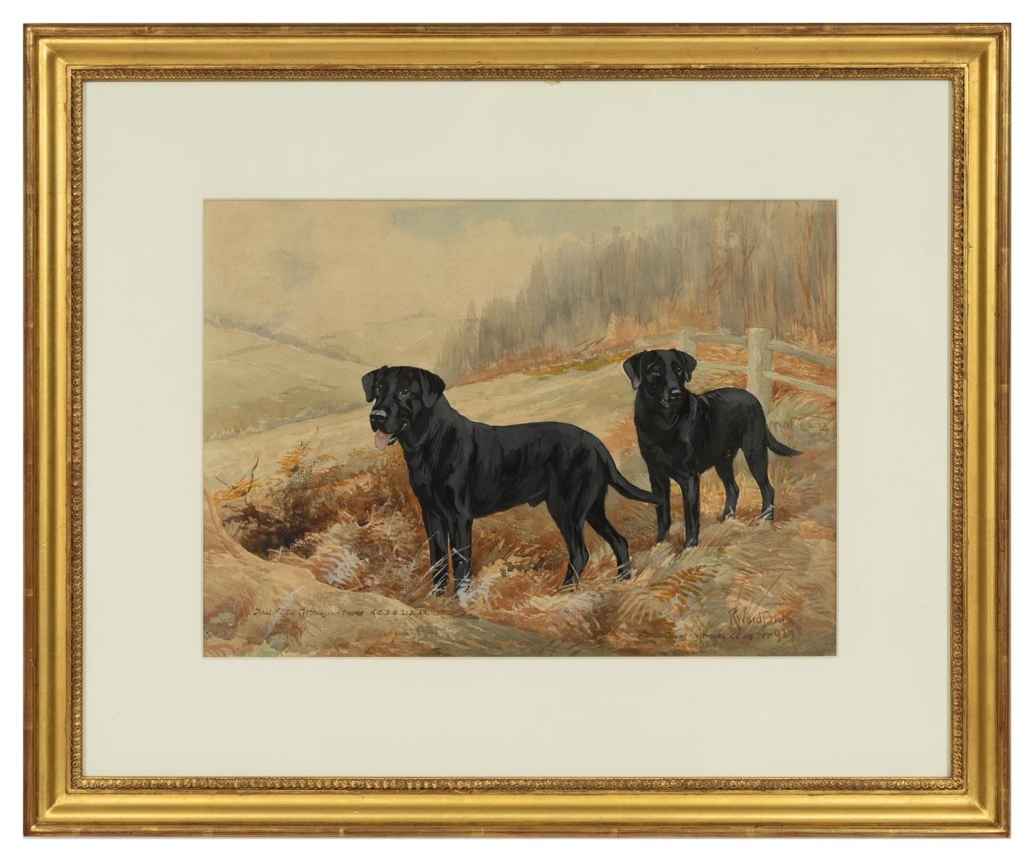 Field Trial Champion Labrador Retrievers and Bring Him Up Boy! (two works)