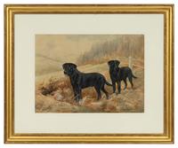 Field Trial Champion Labrador Retrievers and Bring Him Up Boy! (two works)