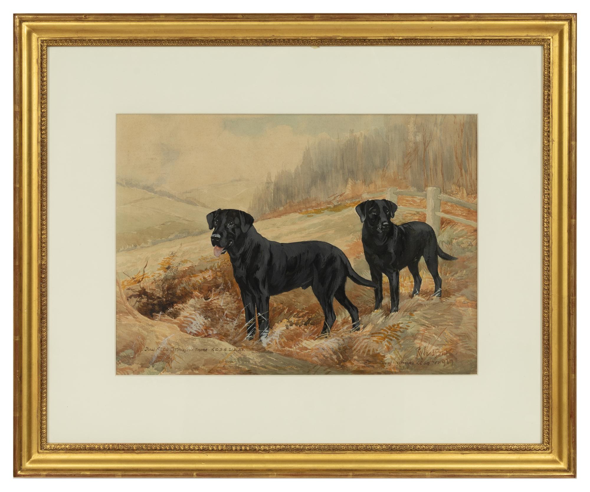 Field Trial Champion Labrador Retrievers and Bring Him Up Boy! (two works)