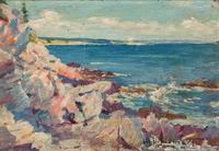 Rocky Shoreline