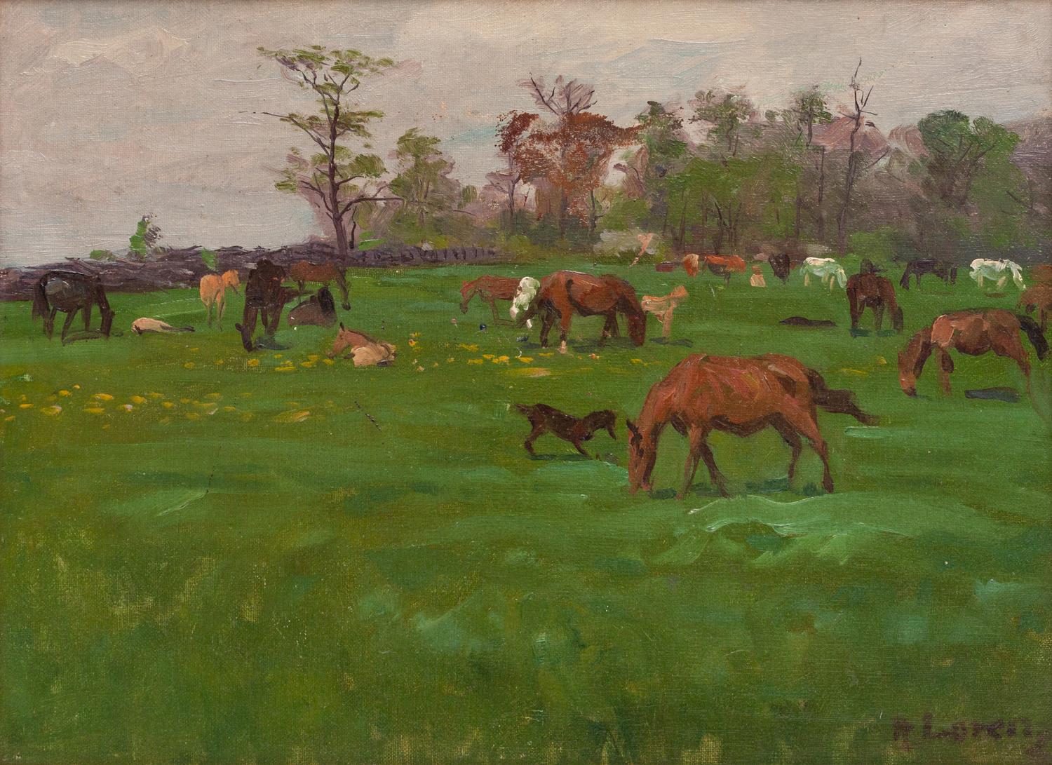 Horses at Pasture