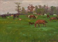 Horses at Pasture