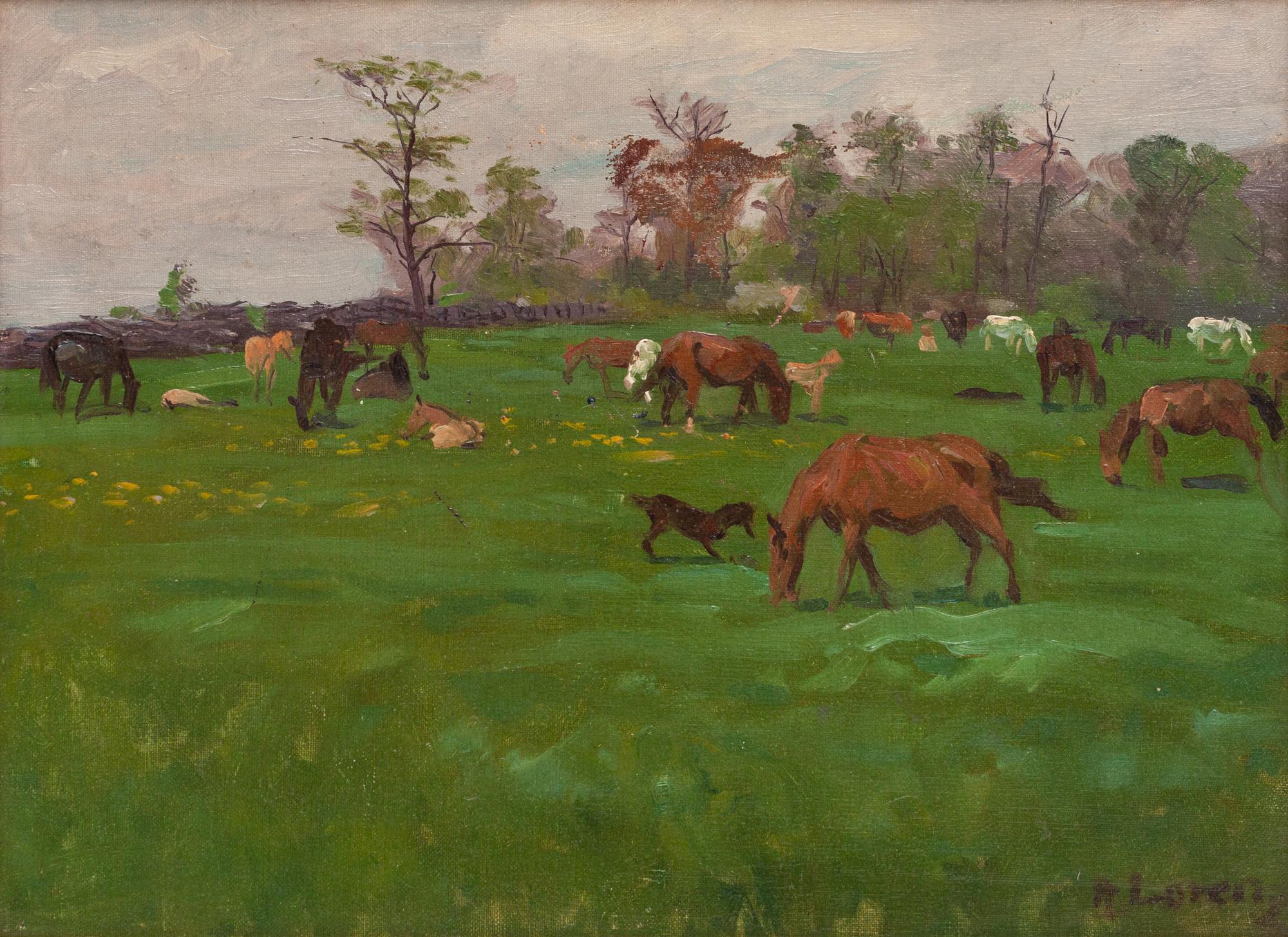 Horses at Pasture